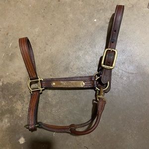 Walsh Triple Stitch British Halter